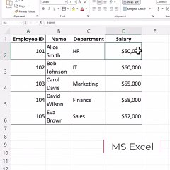 MS Excel VLOOKUP function for exact data