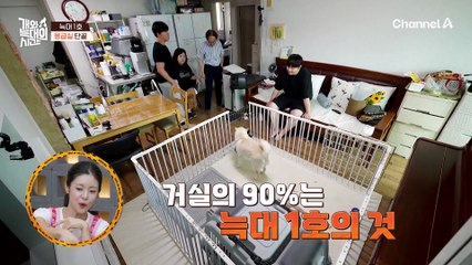 늑대 1호와 격리되어 지내는 가족들?! 진짜 늑대가 나타났다