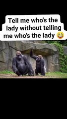 men are always same 🤣