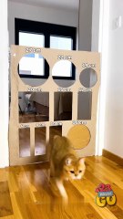 Fail or win? You decide 😹 The landing wasn’t in the plan 😹