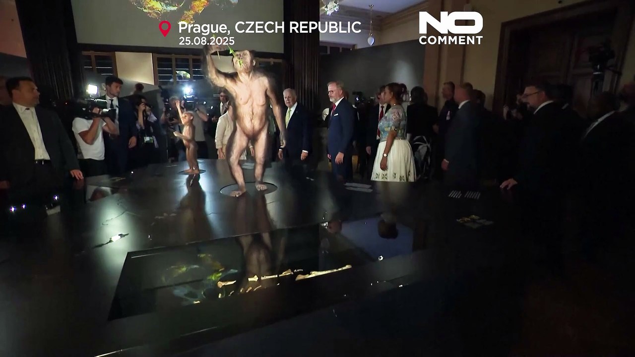 Lucy- und Selam-Fossilien erstmals in Europa ausgestellt