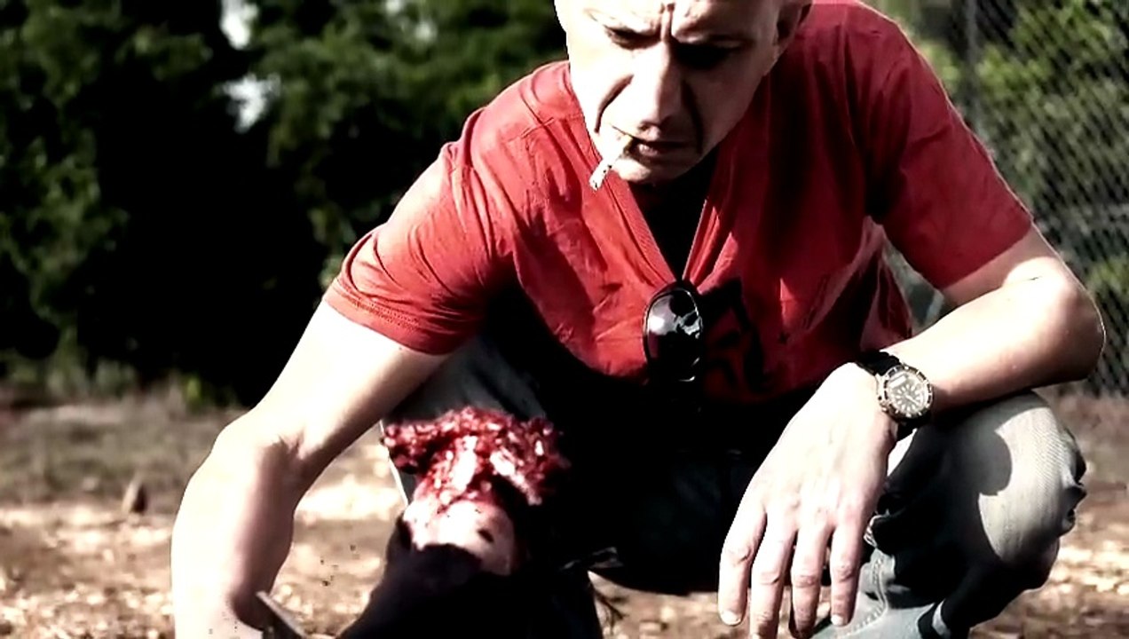 Cannon Fodder FULL MOVIE Battle of the Undead