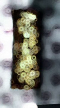 Ultimate Gratinated Mega Tacos with Peppers and Olives – A Bold Flavor Explosion! #MegaTacos #GratinatedTacos #Peppers #Olives #TacoDelight