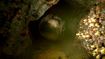 Helldivers 2 - Nel cuore dell'ingiustizia