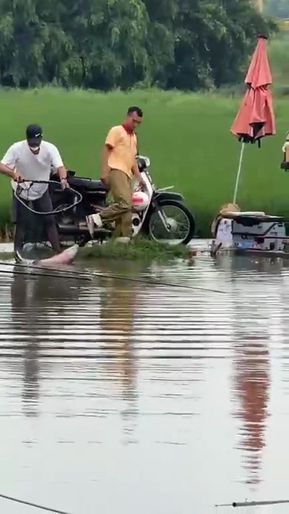 Big Fish Challenge at the Fishing Pond - 10