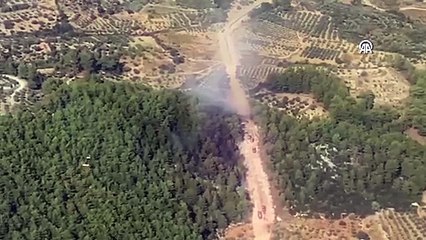 Muğla'da yangın: Müdahale sürüyor