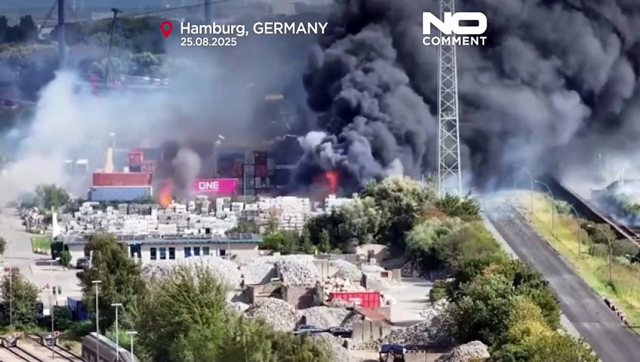 Großbrand im Hamburger Hafen: Sechs Verletzte