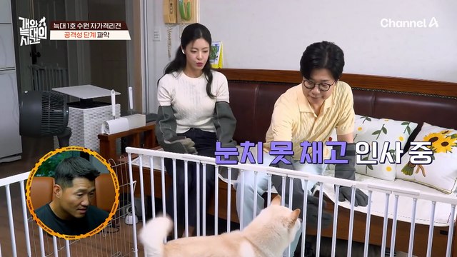 공격성을 파악하려는 김성주! 늑대 1호의 공격성에 깜놀했다!