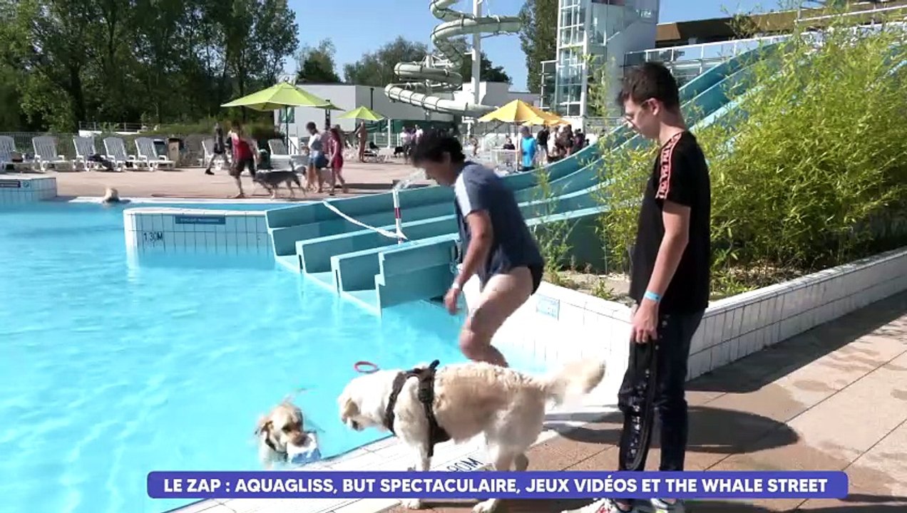 Le Zap : et si vous faisiez trempette avec vos chiens à Aquagliss ?