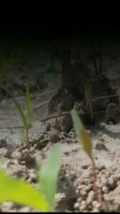 Aur Kiya Tum... | Quran | #shorts #short #allah #wahied #quran #quranrecitation #namaz #dua