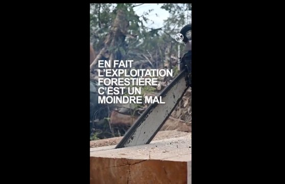 Chanee : la fièvre de l'huile de palme et le fléau du nickel en Indonésie