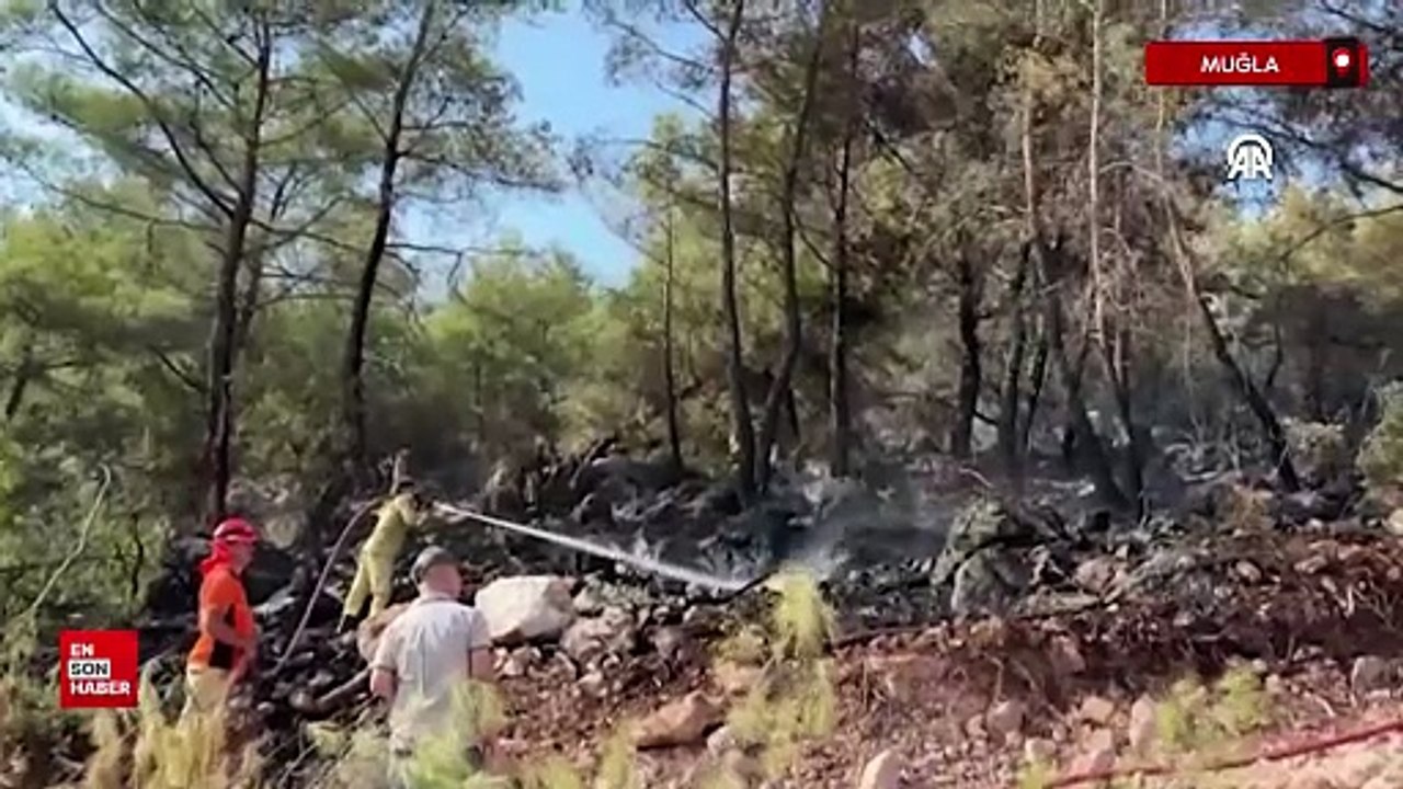 Muğla’da çıkan orman yangını kontrol altına alındı