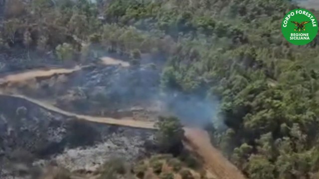 Incendio nell'Agrigentino, in fiamme ettari di bosco su Monte Sara
