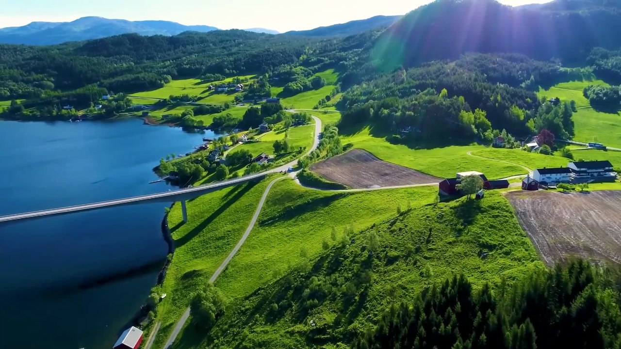 Healing Frequencies for Heart & Mind  Calm Music for Stress Relief & Vascular Wellness #37