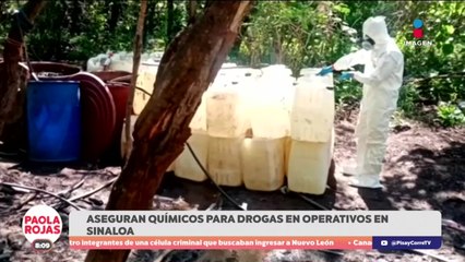Desmantelas tres narcolaboratorios en Culiacán  | DPC con Paola Rojas