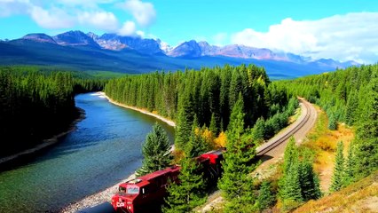 Heart Harmony  Relaxing Music to Soothe Blood Vessels & Calm the Nervous System #38