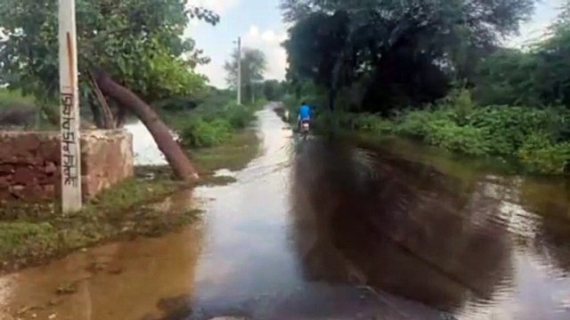 नागौर में भारी बरसात के बाद सलेऊ गांव में जलभराव, ग्रामीणों में खतरे की चेतावनी