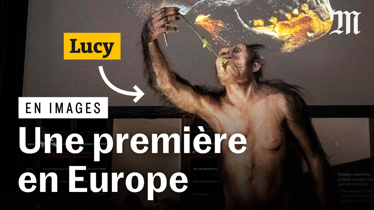 Le squelette de Lucy est exposé pour la première fois en Europe