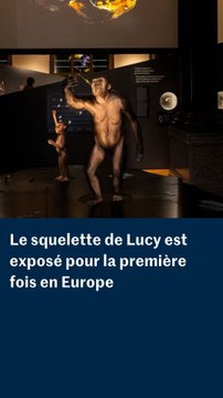 Le squelette de Lucy est exposé pour la première fois en Europe