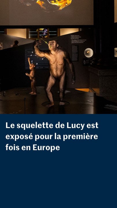Le squelette de Lucy est exposé pour la première fois en Europe
