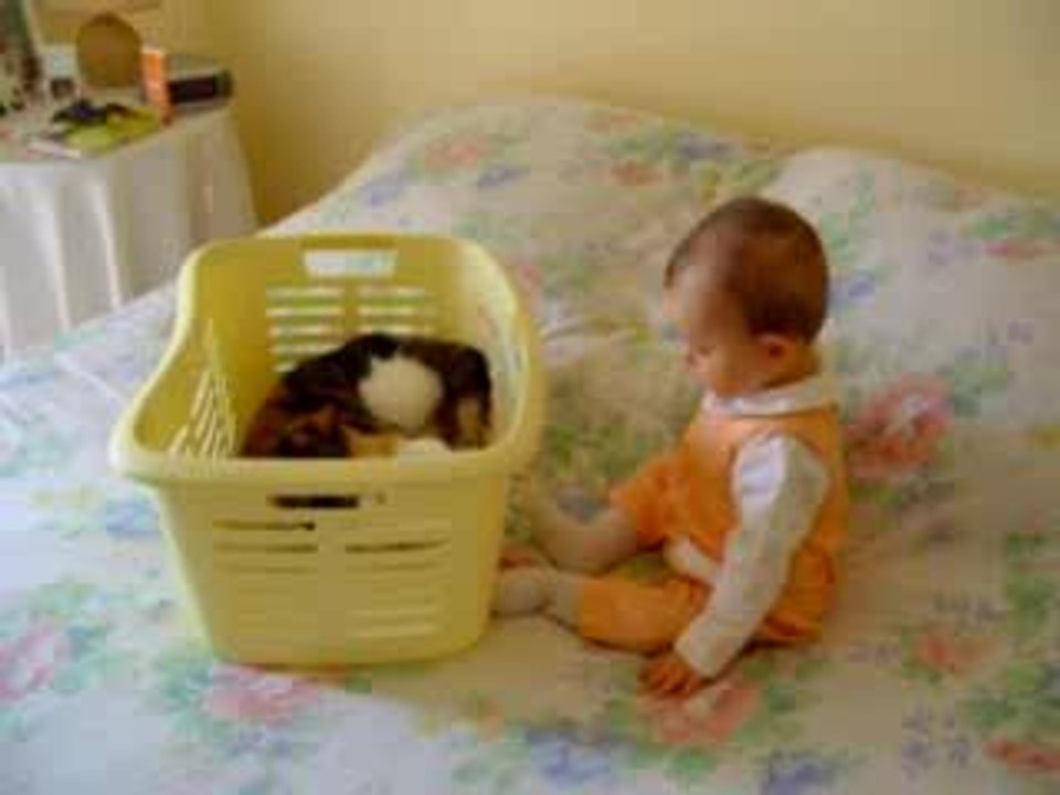 Camille et ses chats