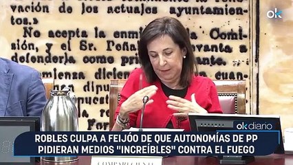Robles culpa a Feijóo de que autonomías de PP pidieran medios "increíbles" contra el fuego