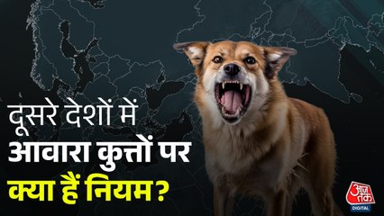 दूसरे देशों में Stray Dogs को लेकर क्या हैं नियम?