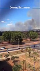 Incêndio na Asa Norte, próximo ao colégio Leonardo da Vinci