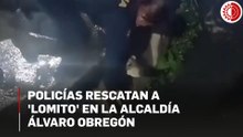 Policías rescatan a 'lomito' en la alcaldía Álvaro Obregón