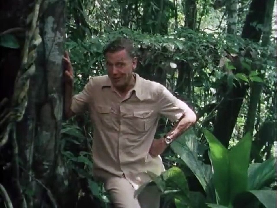 Life on Earth (1979)  E01 - The Infinite Variety