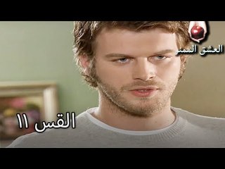 الحب الممنوع الجزء 11 - Aşk-ı Memnu