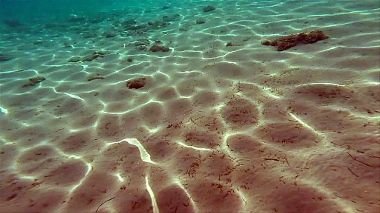 swimming underwater slow motion pov