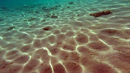 swimming underwater slow motion pov