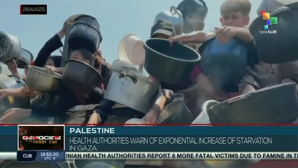 Palestine | Health authorities warn of exponential increase of starvation in Gaza