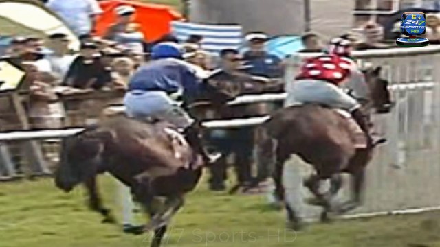 A horse dies and hospitalises two racegoers after crashing into barriers in a bank holiday tragedy