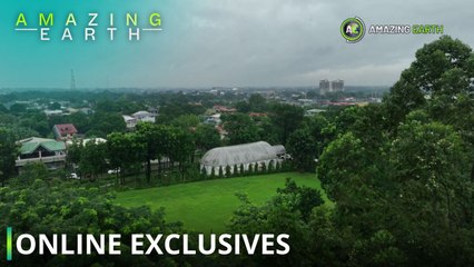 Amazing Earth: Welcome to DON JOSE HEIGHTS! (Online Exclusives)