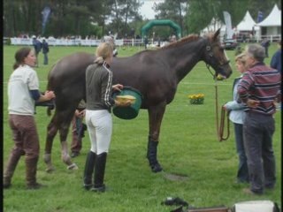 Cross de Saumur le 17 mai 2008