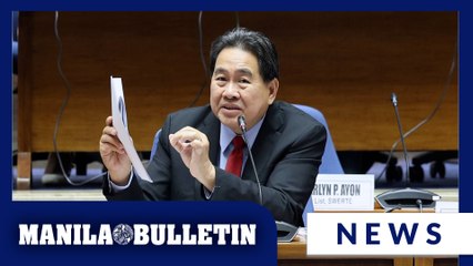 Ditch burdensome travel tax for economy class passengers--Rodriguez