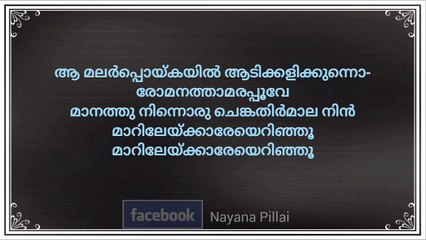 Aa malar Poykayil Aadikalikkunna Karoke