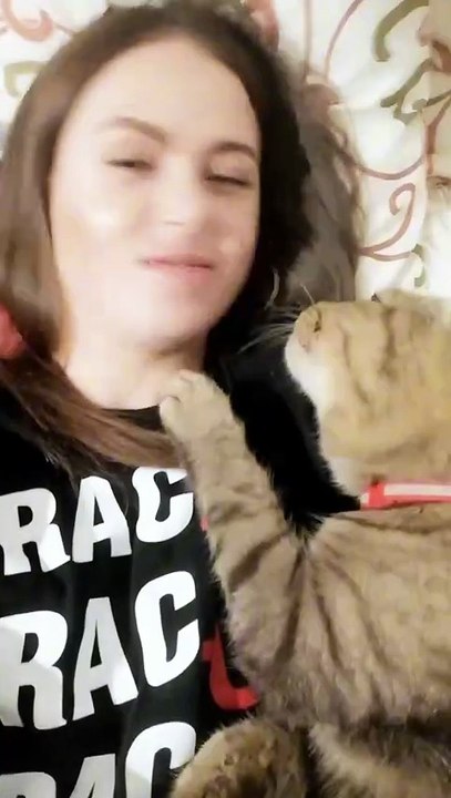 Clingy cats.