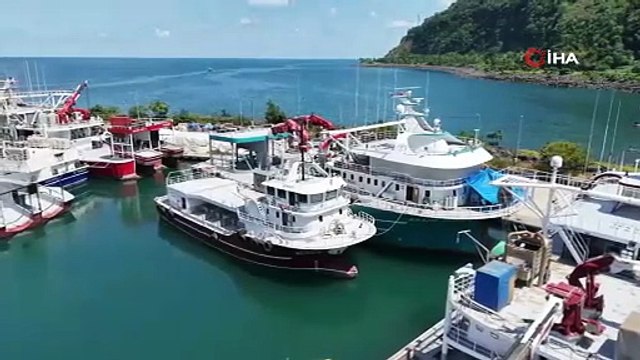 Karadeniz’de balıkçılar yeni av sezonundan umutlu: Palamut görüldü, hamsi bekleniyor