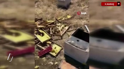 Kahramanmaraş'ta bal üreticisinin kovanlarına ayı saldırdı