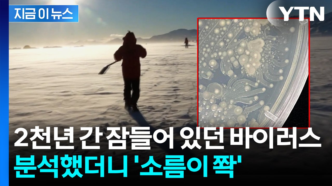 "인체 감염 가능성"...남극 빙하 속에서 깨어난 바이러스 분석했더니 [지금이뉴스] / YTN