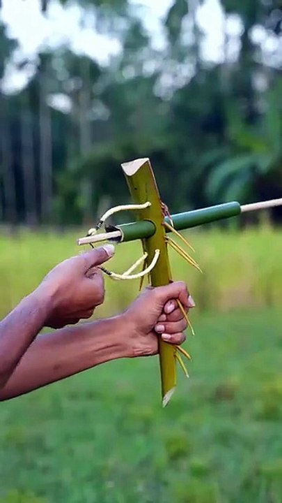 Bamboo Creations