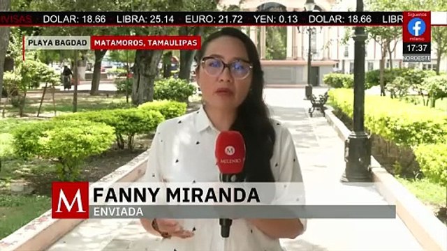 Lanzamiento de SpaceX afecta a la fauna en Tamaulipas | Milenio Hábitat