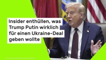Insider enthüllen, was Trump Putin wirklich für einen Ukraine-Deal geben wollte