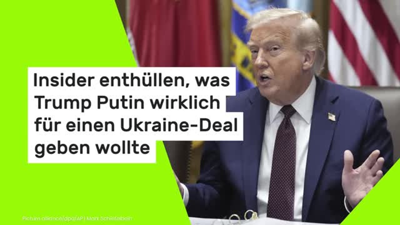 Insider enthüllen, was Trump Putin wirklich für einen Ukraine-Deal geben wollte