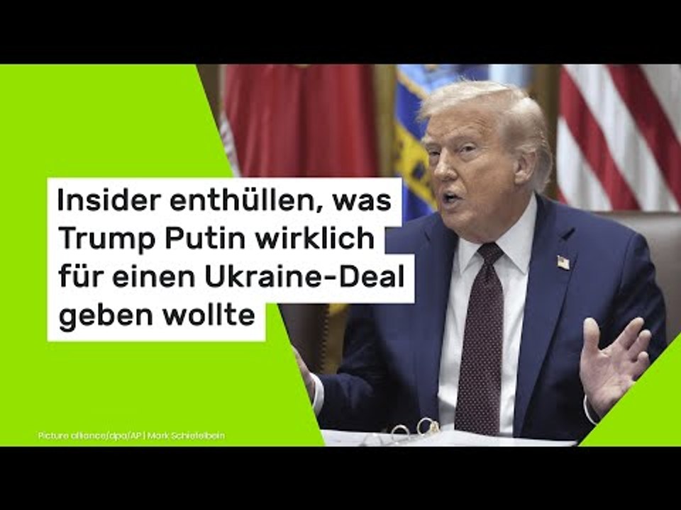 Insider enthüllen, was Trump Putin wirklich für einen Ukraine-Deal geben wollte