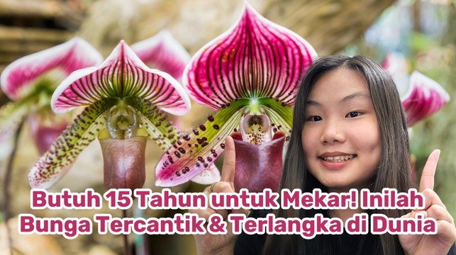 Bunga Paling Cantik di Dunia, Mekarnya Harus Tunggu 15 Tahun!