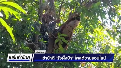 น้ำผึ้งป่าพร้อมรัง ส่งตรงถึงลูกค้า | เนชั่นทั่วไทย | 27 ส.ค. 68 | PART 2